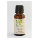 Platbos African Wild Olive - Boom van Vertrouwen