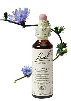 Bach Chicory / Cichorei 20ml