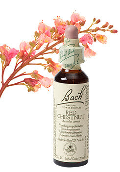 Bach Red Chestnut/Tamme Kast. 20ml