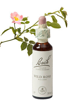 Bach Wild Rose / Hondsroos 20ml