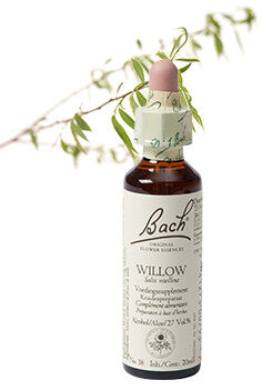 Bach Willow / Wilg 20ml