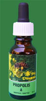 Dingens Propolis Druppels A sterk 20ml