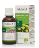 LADRÔME Taraxacum officinale/Paardenbloem