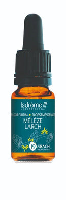 LD Lariks - larch n°25-10 ml