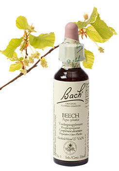 Bach Beech / Beuk 20ml