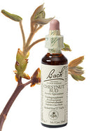 Bach Chestnut bud / Kastanje knop 20ml