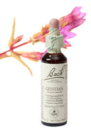 Bach  Gentian / Gentiaan  20ml