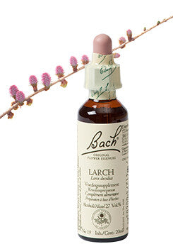 Bach Larch / Lariks 20ml