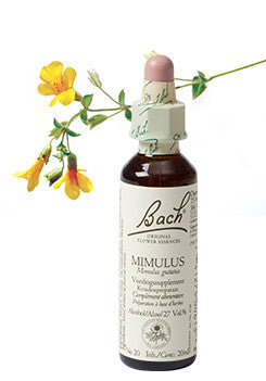 Bach Mimulus / Masque Fleur 20ml