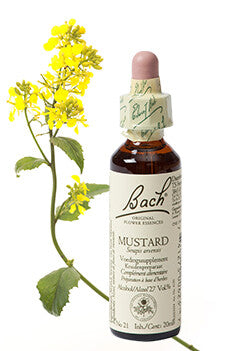 Bach Mustard / Herik 20ml