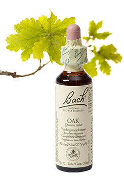 Bach Oak / Zomereik 20ml