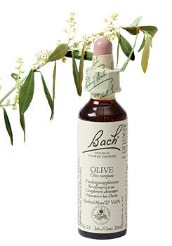 Bach Olive / Olijf 20ml