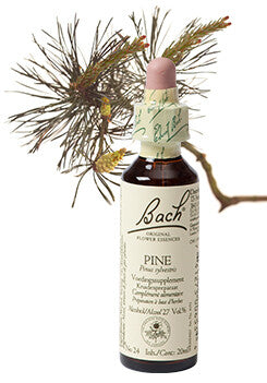 Bach Pine / Pijnboom 20ml