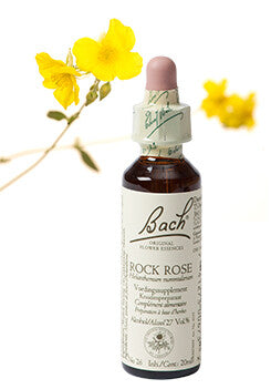 Bach Rock Rose / Zonneroosje 20ml