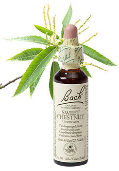 Bach Sweet Chestn./Tamme Kast. 20ml