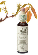 Bach Walnut / Walnoot 20ml
