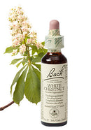 Bach White Chestn. / Paardekastanje 20ml