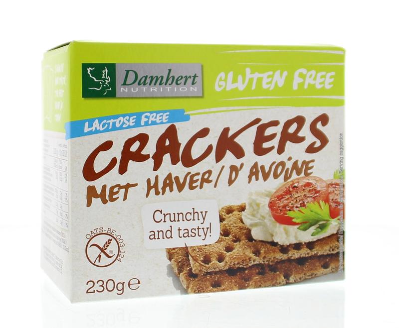Damhert Gluten Free Cracker avoine sans lactose | 230