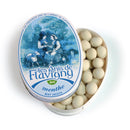 Flavigny Anijspastilles mint 50g