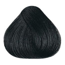 HERBATINT 1N Noir 150 ml