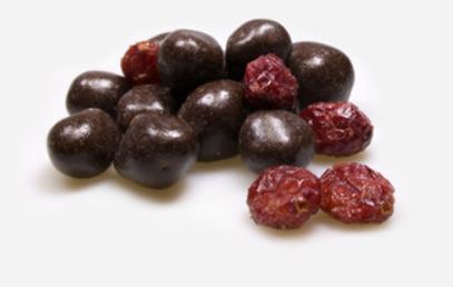 Kruidengilde Cranberry in Chocolade 250g
