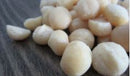 Herbal Guild Noix de macadamia non salées 200g