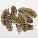 Kruidengilde Sennepeul Heel 150g