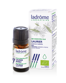 LADRÔME Laurus nobilis - Laurier