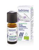 LADRÔME Lavandula latifolia - Spijklavendel 10 ml