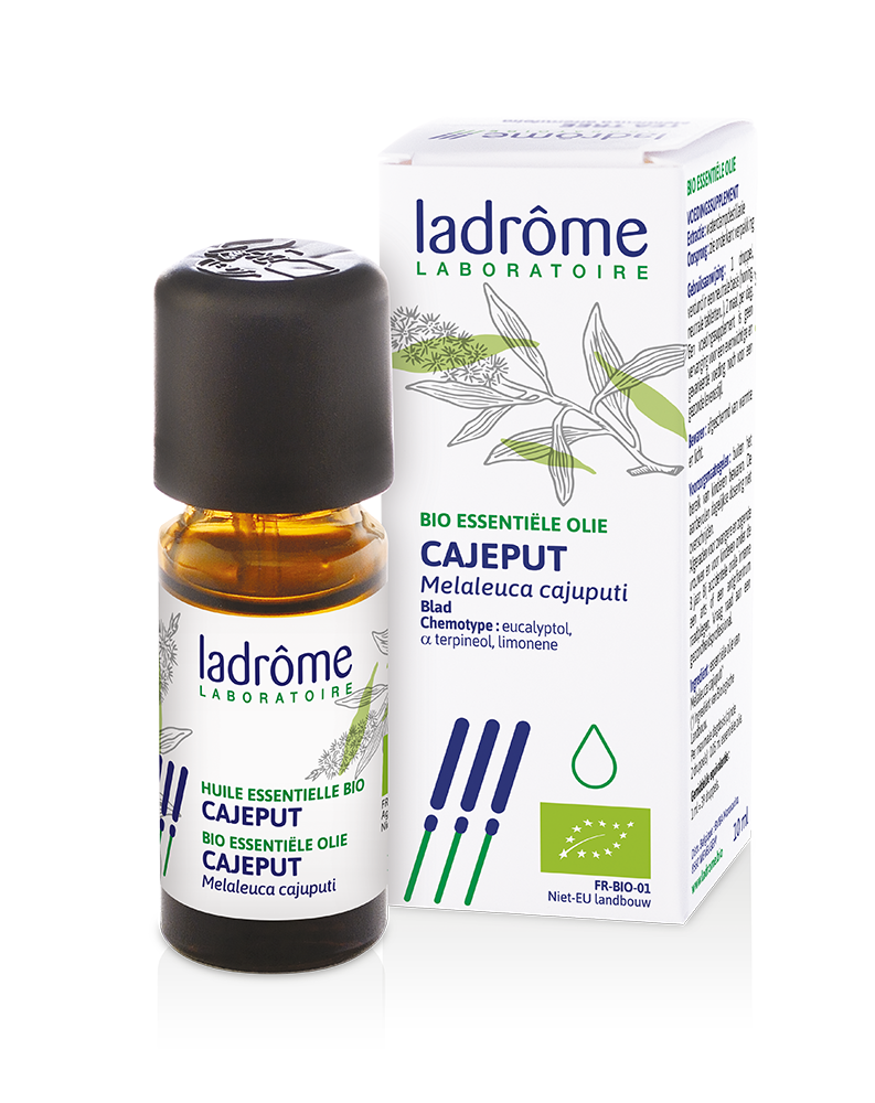 LADRÔME Melaleuca leucadendron - Cajeput 10 ml