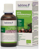 LADRÔME Marron d'Inde blanc 50ml